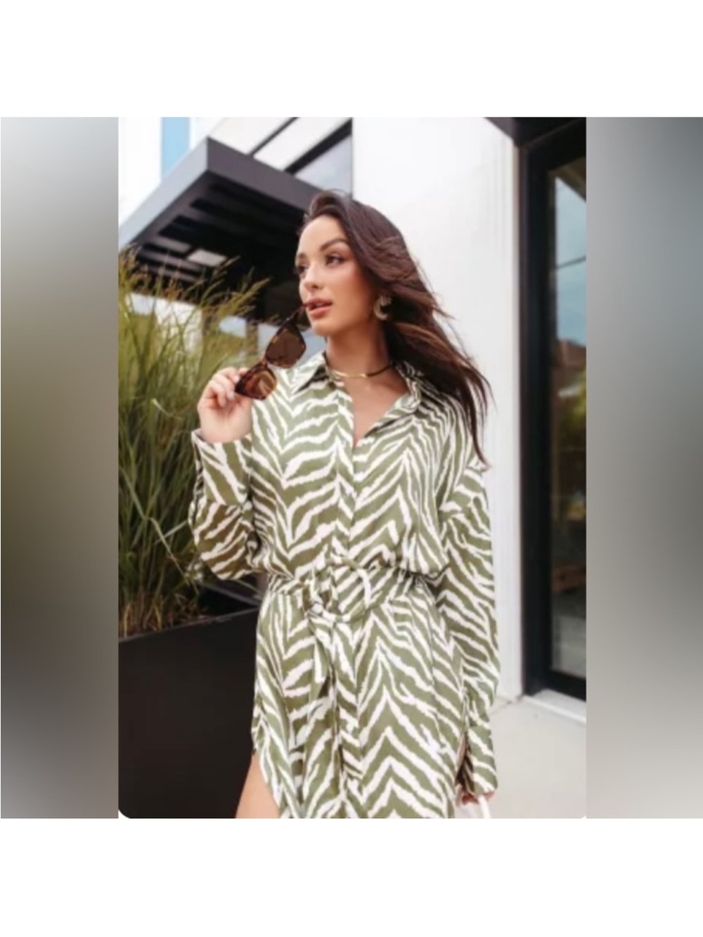 Kittenish Zebra Print Shirt Dress
